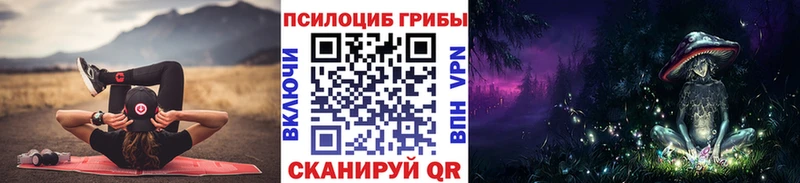 хочу   Сурск  Галлюциногенные грибы Psilocybe 